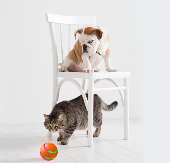 Oranje lichtgevende kattenbal op de vloer
