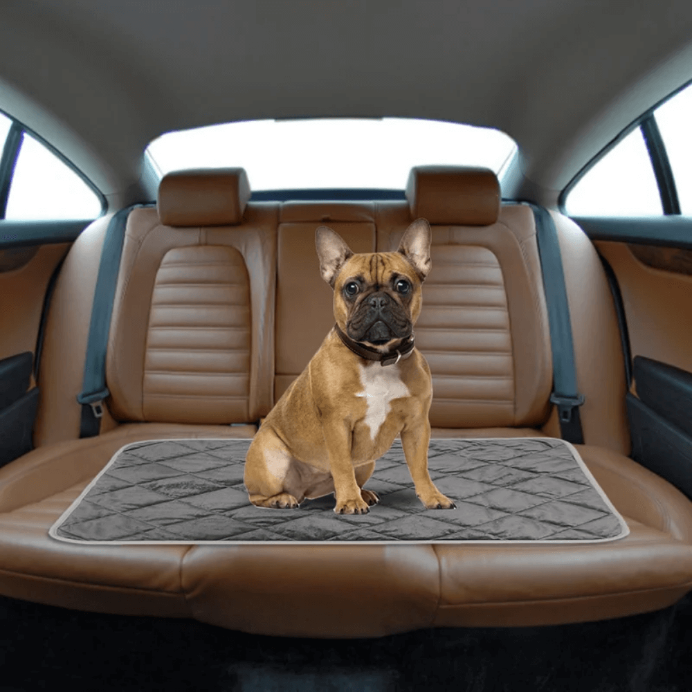 Warmteparadijs™ Zelfverwarmend ligkussen voor hond en kat met antislip onderkant