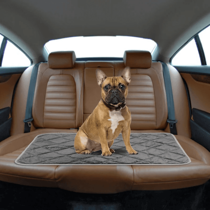 Warmteparadijs™ Zelfverwarmend ligkussen voor hond en kat met antislip onderkant