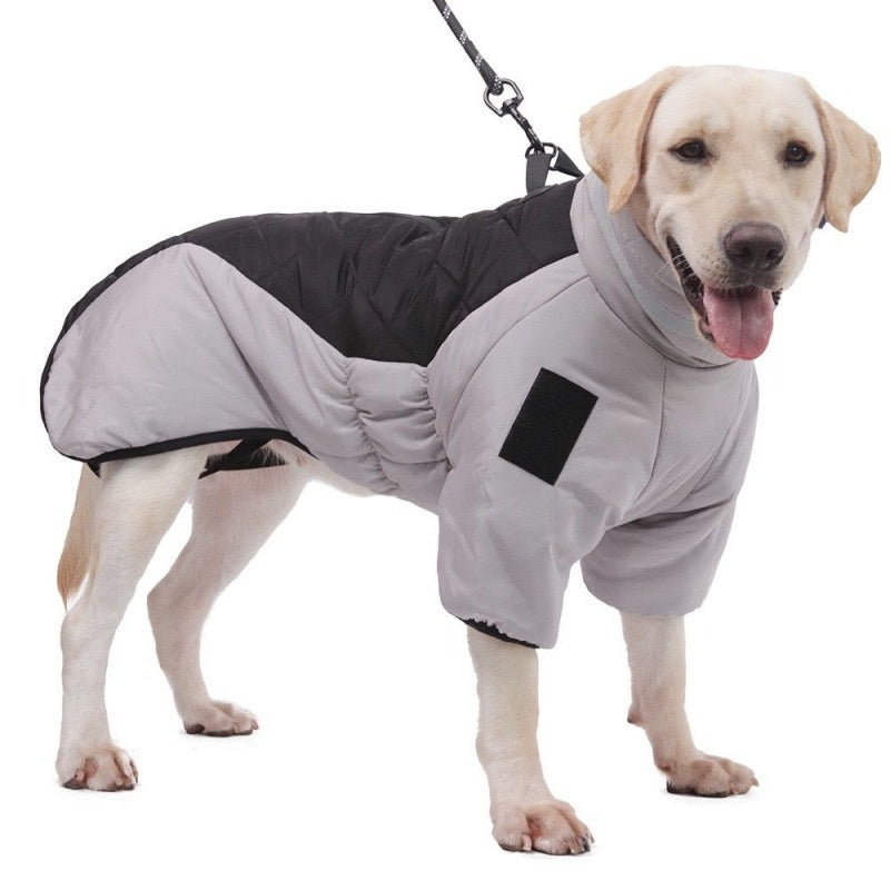 Hond in grijze gewatteerde winterjas