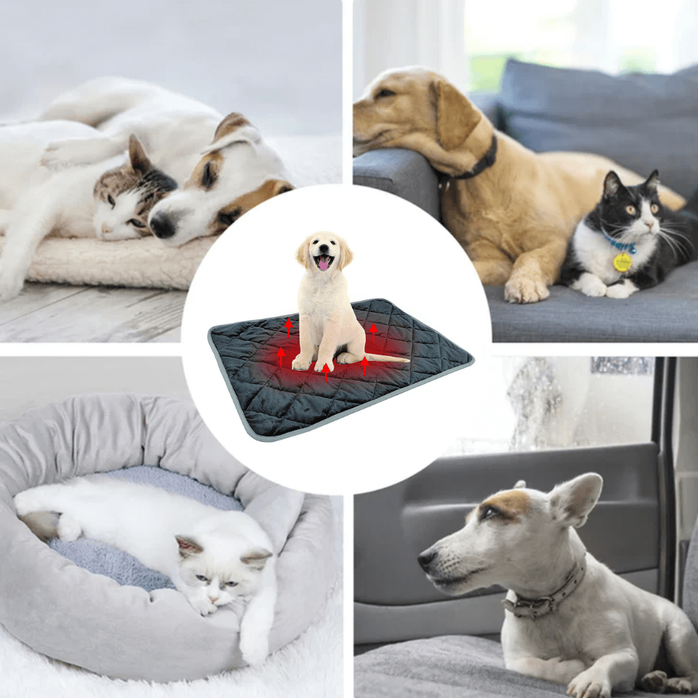 Warmteparadijs™ Zelfverwarmend ligkussen voor hond en kat met antislip onderkant
