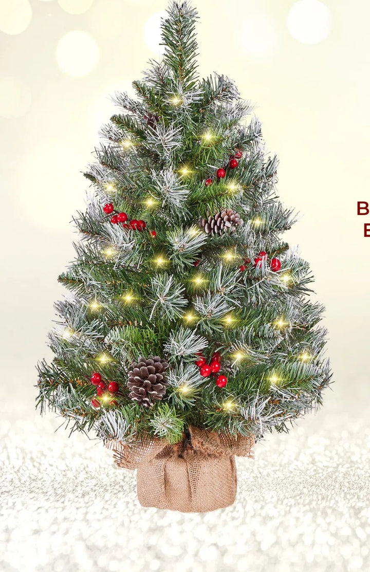 Twee berijpte tafelkerstbomen met lichtjes