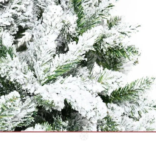 Besneeuwde dennenboom zonder lichtjes