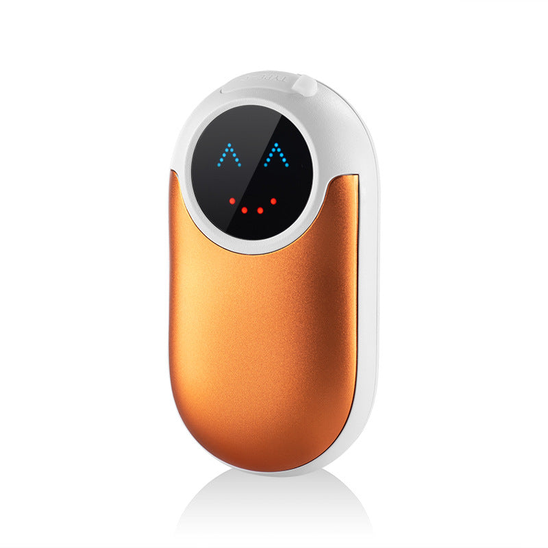 Warmteparadijs™ Slimme handwarmer en powerbank in één met temperatuurregeling