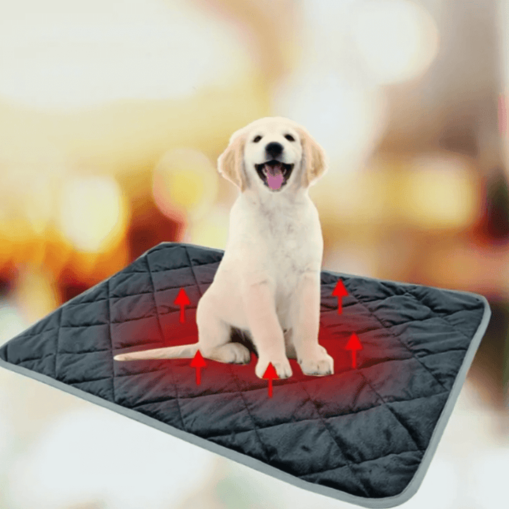 Warmteparadijs™ Zelfverwarmend ligkussen voor hond en kat met antislip onderkant