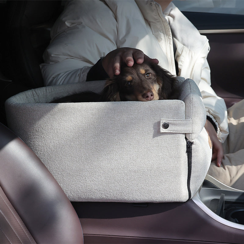 Kleine hond in een beige autostoeltje op de armleuning