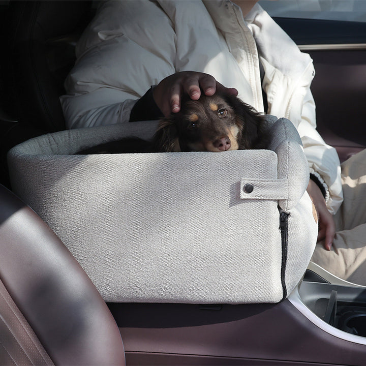 Kleine hond in een beige autostoeltje op de armleuning