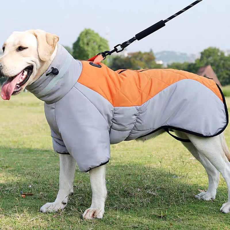 Hond in grijze gewatteerde winterjas