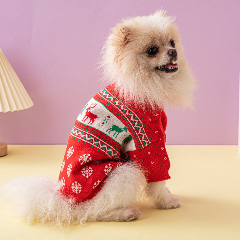 Kleine hond in gebreide kersttrui met rendier